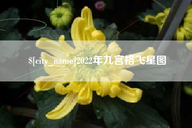 乐清2022年九宫格飞星图