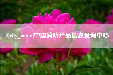 乐清中国消防产品信息查询中心