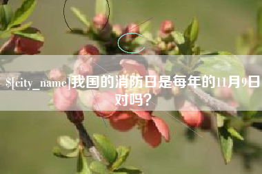 乐清我国的消防日是每年的11月9日对吗？