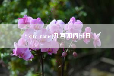 乐清九宫如何排日