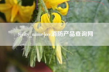 乐清ccc消防产品查询网