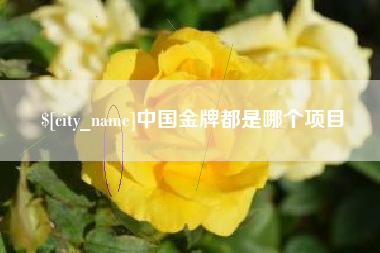 乐清中国金牌都是哪个项目