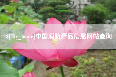 乐清中国消防产品信息网站查询