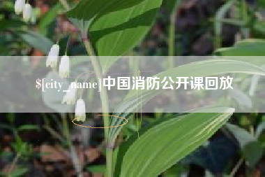 乐清中国消防公开课回放