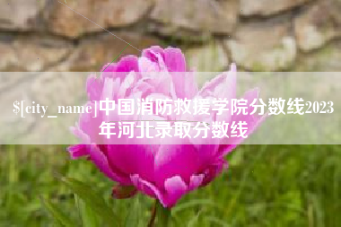 乐清中国消防救援学院分数线2023年河北录取分数线