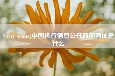 乐清中国执行信息公开网的网址是什么