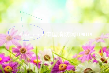 乐清中国消防网1190119