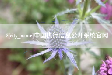 乐清中国执行信息公开系统官网