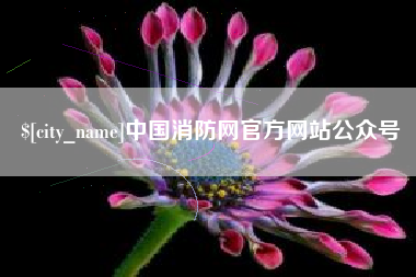 乐清中国消防网官方网站公众号