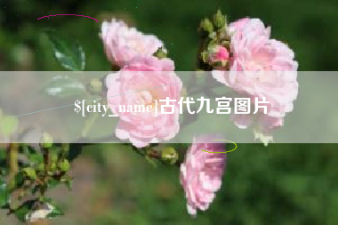 乐清古代九宫图片