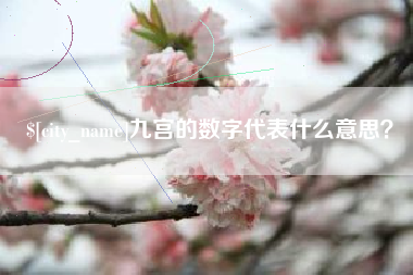 乐清九宫的数字代表什么意思？