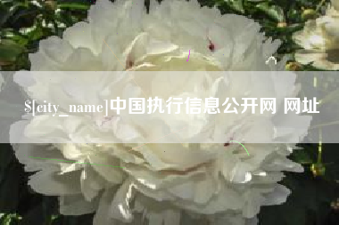 乐清中国执行信息公开网 网址