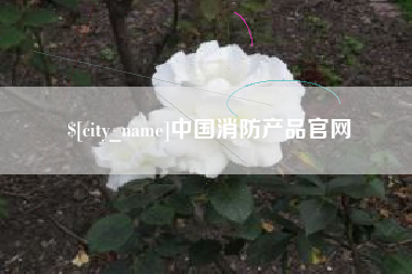 乐清中国消防产品官网