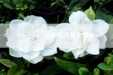 乐清中国的几块金牌2021