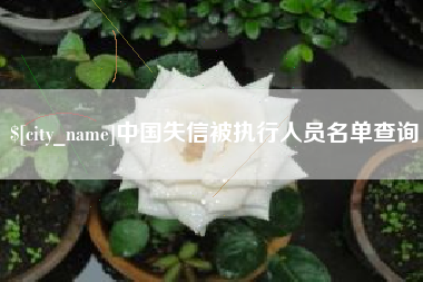 乐清中国失信被执行人员名单查询