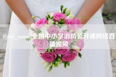 乐清全国中小学消防公开课网络直播视频