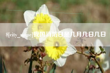 乐清我国消防日是几月几日几日