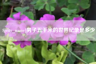 乐清男子五千米的世界纪录是多少