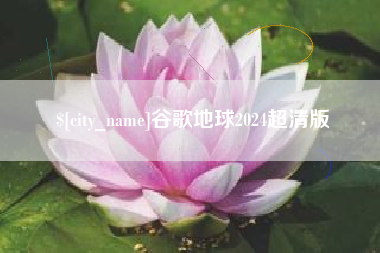 乐清谷歌地球2024超清版