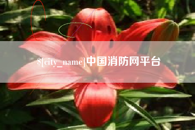 乐清中国消防网平台