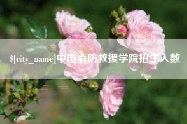 乐清中国消防救援学院招生人数 乐清中国消防救援学院招生人数