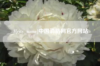 乐清中国消防网官方网站
