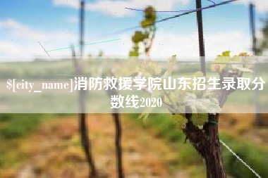 乐清消防救援学院山东招生录取分数线2020
