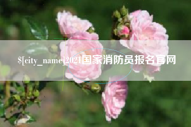 乐清2021国家消防员报名官网