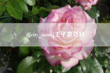 乐清王子豪百科