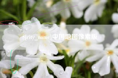 乐清中国地图像素版