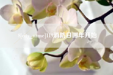 乐清119消防日哪年开始