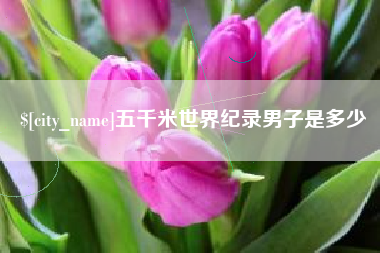 乐清五千米世界纪录男子是多少