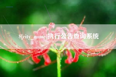 乐清执行公告查询系统