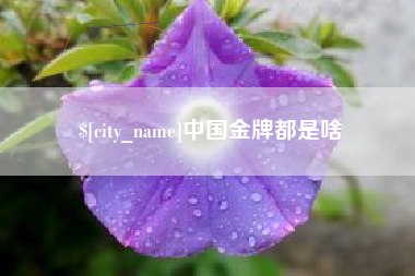 乐清中国金牌都是啥