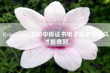 乐清消防中级证书电子版查询多久才能查到