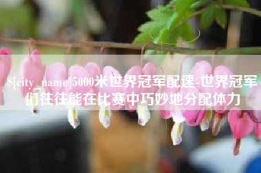 乐清5000米世界冠军配速-世界冠军们往往能在比赛中巧妙地分配体力