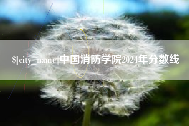 乐清中国消防学院2024年分数线