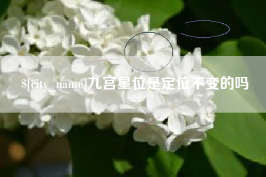 乐清九宫星位是定位不变的吗
