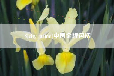 乐清中国金牌包括