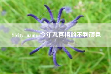 乐清今年九宫格的不利颜色