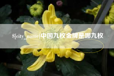 乐清中国九枚金牌是哪九枚