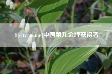 乐清中国第九金牌获得者