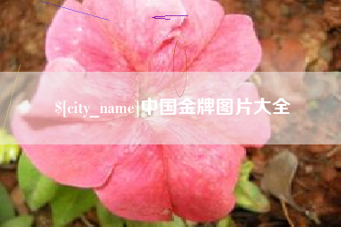 乐清中国金牌图片大全