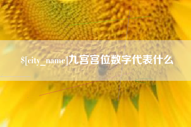乐清九宫宫位数字代表什么