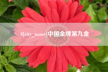 乐清中国金牌第九金