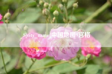 乐清中国地图9宫格