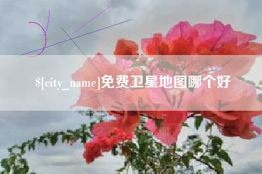 乐清免费卫星地图哪个好