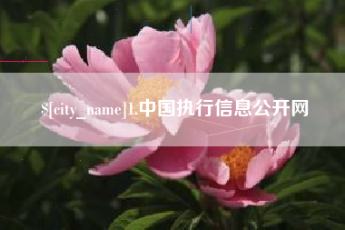 乐清1.中国执行信息公开网