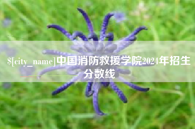 乐清中国消防救援学院2024年招生分数线