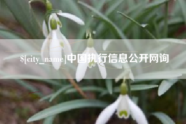 乐清中国执行信息公开网询